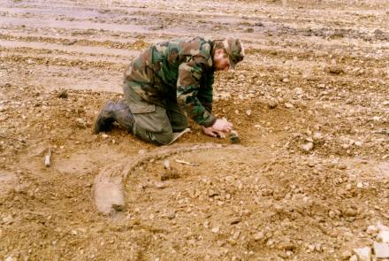 (A7,2) Tagebau Zwenkau, Fdst Eythra, Freilegung Elefantenstosszahn 1994, fot A Rudolph 